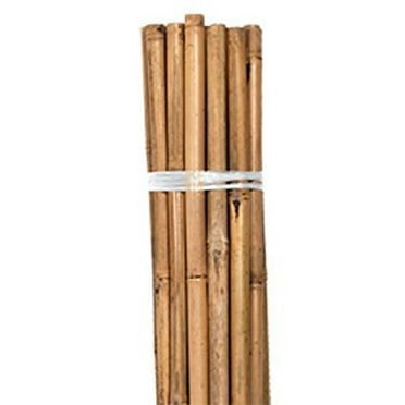 packages Panacea 89783  24 count  36" Natural Bamboo Garden Stakes 6